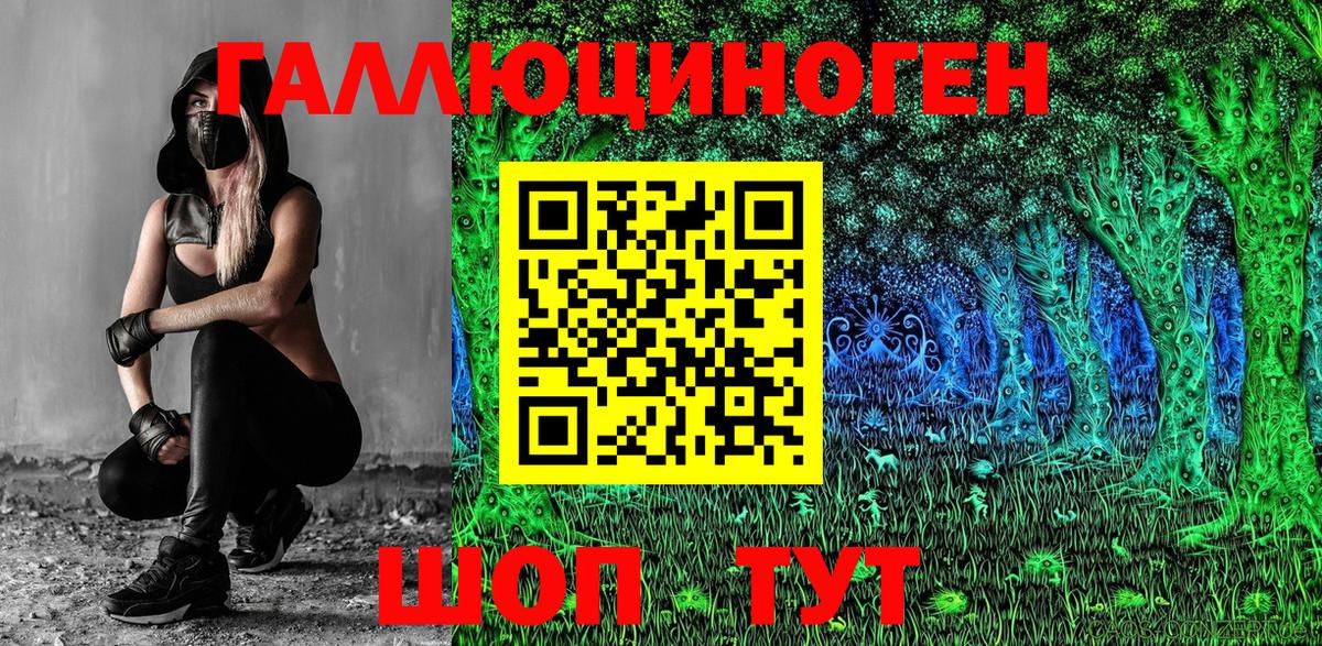 Псилоцибиновые грибы Psilocybine cubensis Советск