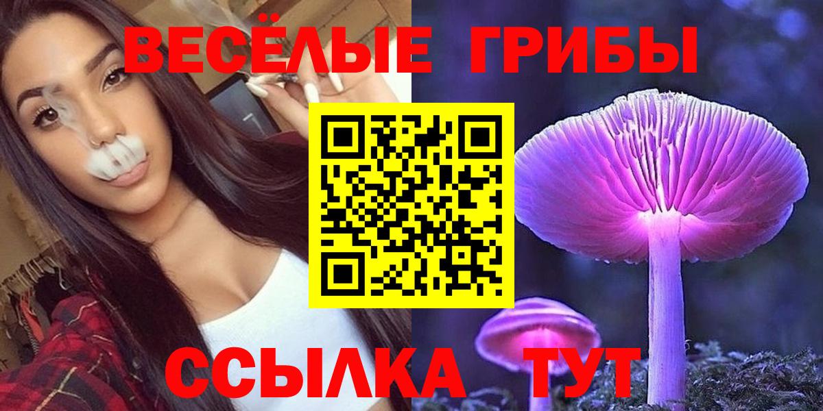 Псилоцибиновые грибы GOLDEN TEACHER  Вход с VPN  Псилоцибиновые грибы мицелий  Советск 